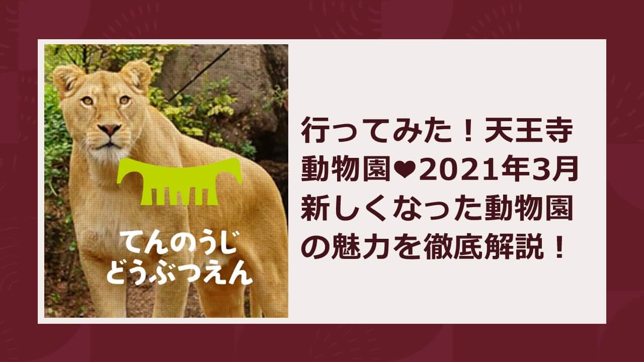 行ってみた 天王寺動物園 21年3月新しくなった動物園の魅力を徹底解説 よぴ ぶろぐ